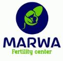 My Website